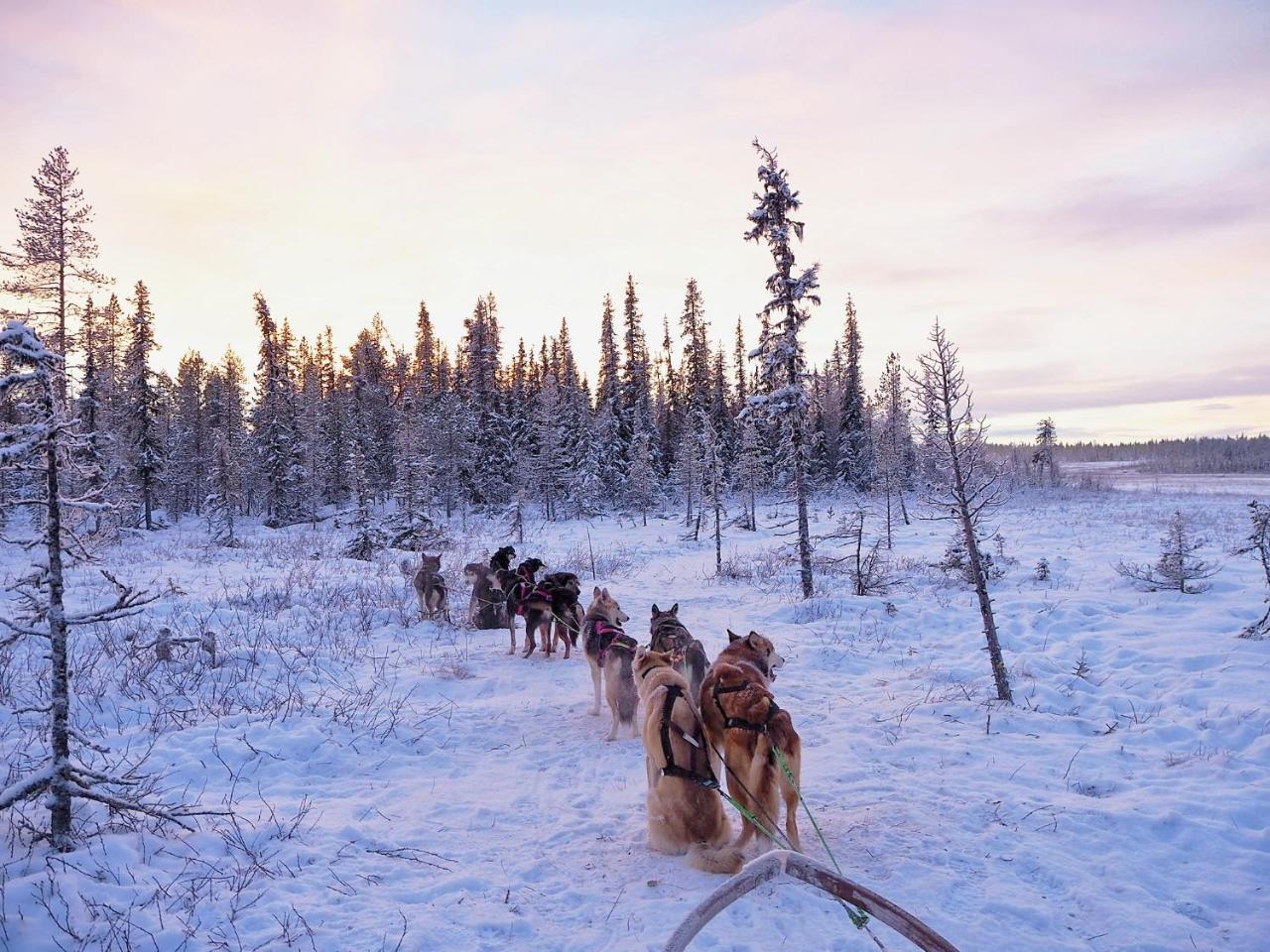 Vila Aurora Camp Kurravaara Exteriér fotografie